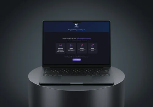 Audyt WordPress